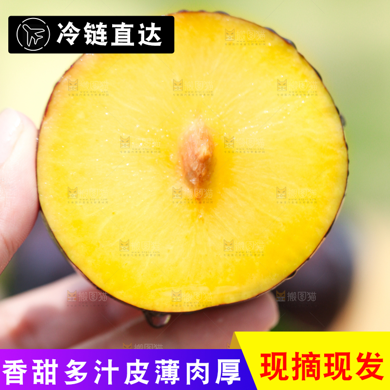 手里拿着黄肉黑布李