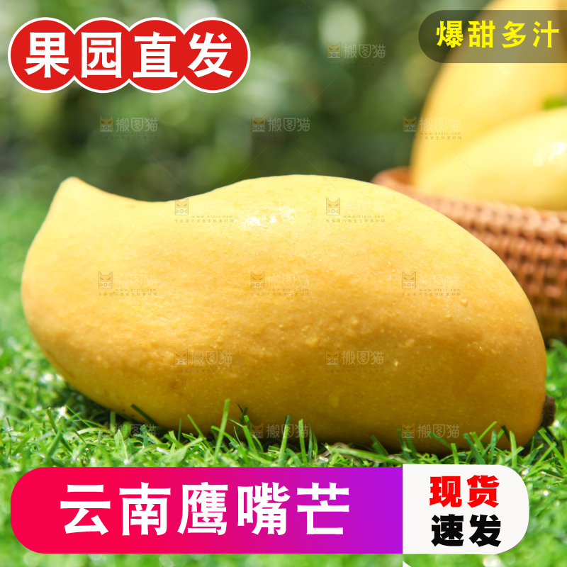绿草地上放着芒果