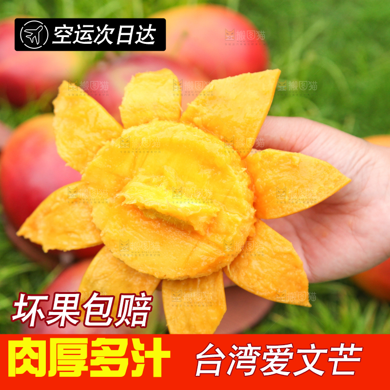 手里拿着苹果芒