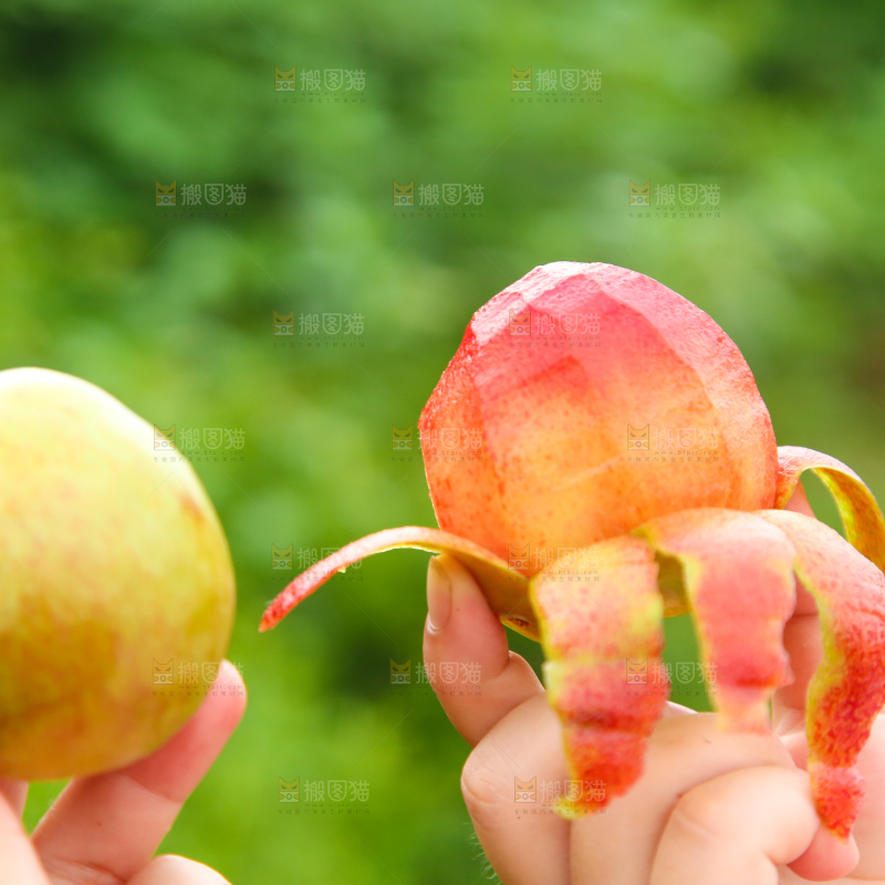 手里拿着红心李