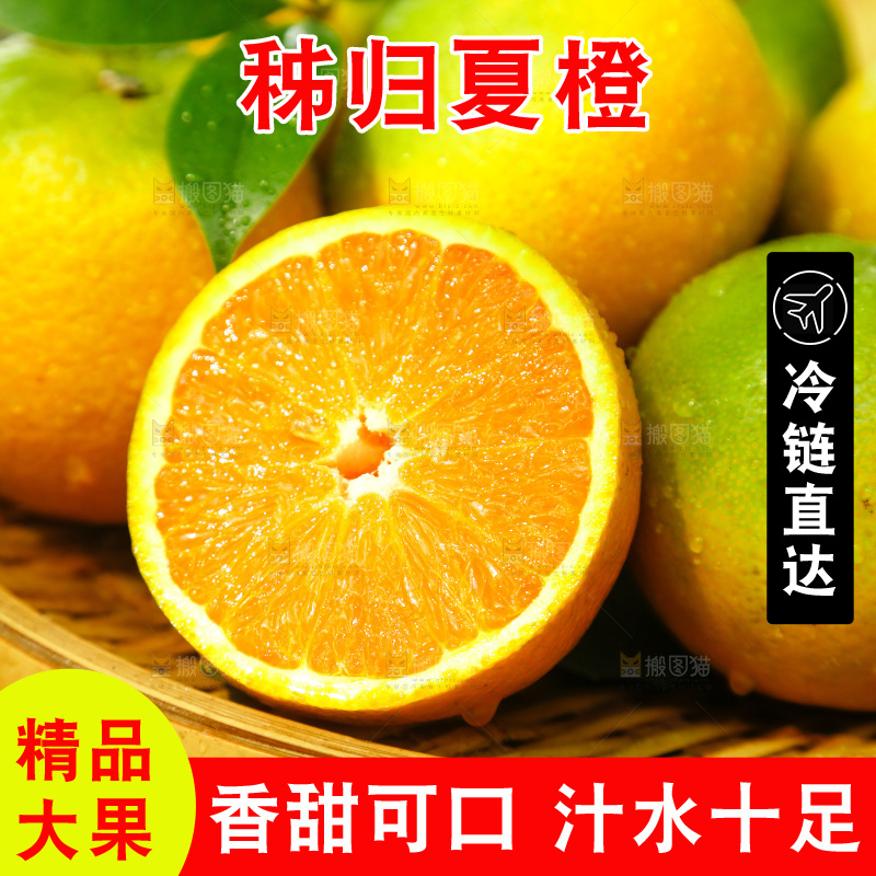 篮子里装着秭归夏橙