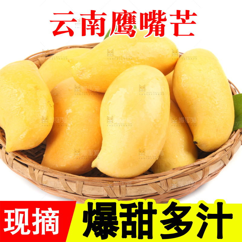 篮子里装着鹰嘴芒