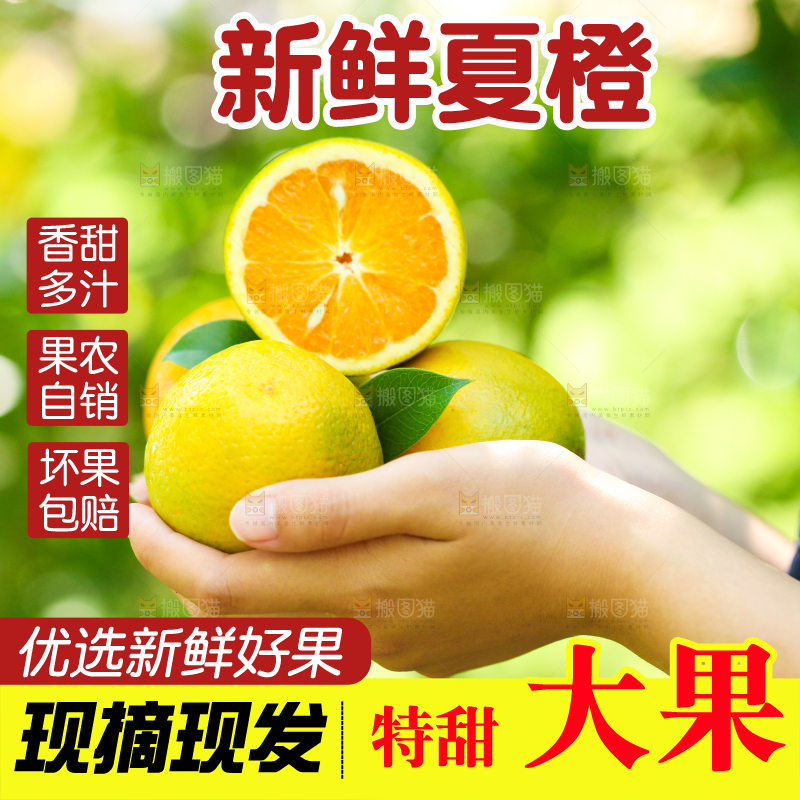 手里拿着秭归夏橙