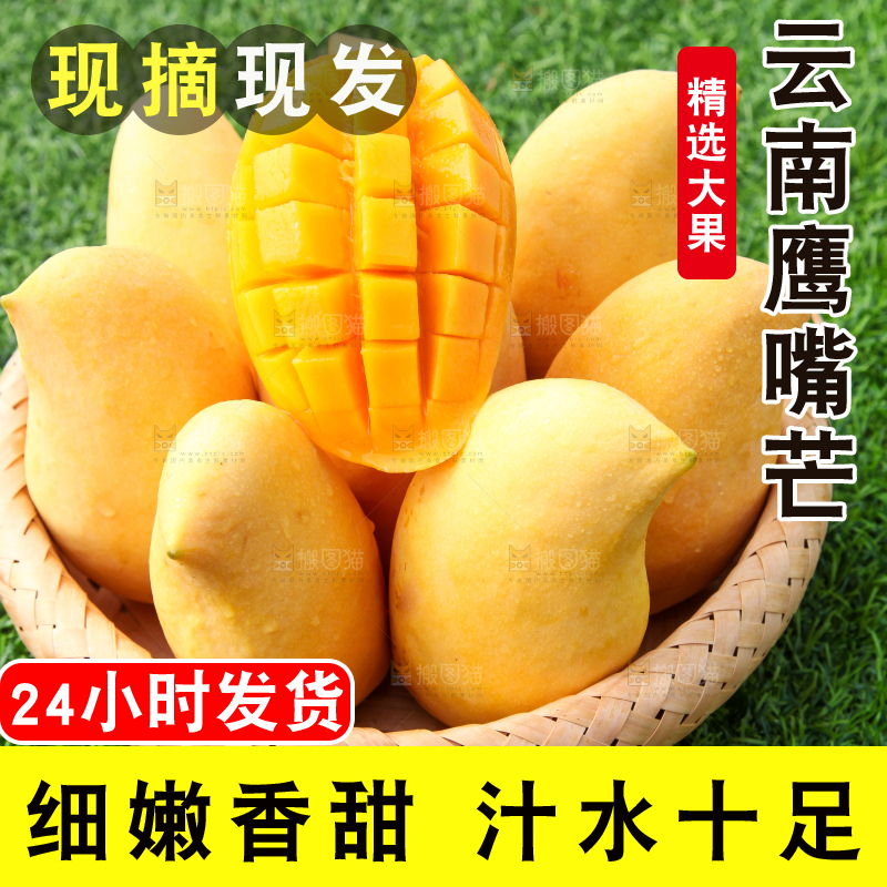 绿草地上放着一篮云南新鲜鹰嘴芒