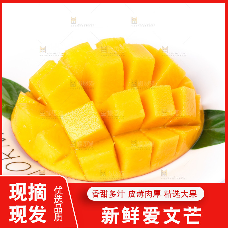盘子里装着爱文芒
