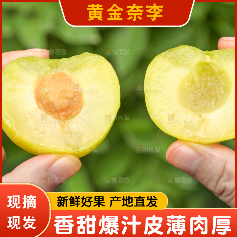 手里拿着蜂糖李子