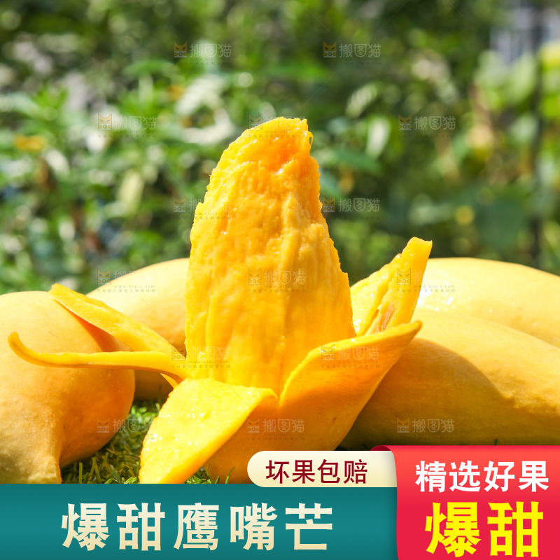 绿草地上摆放着鹰嘴芒果