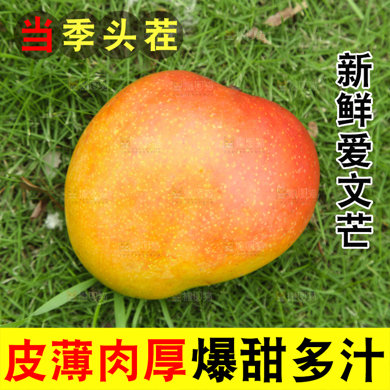 草地上摆放着苹果芒