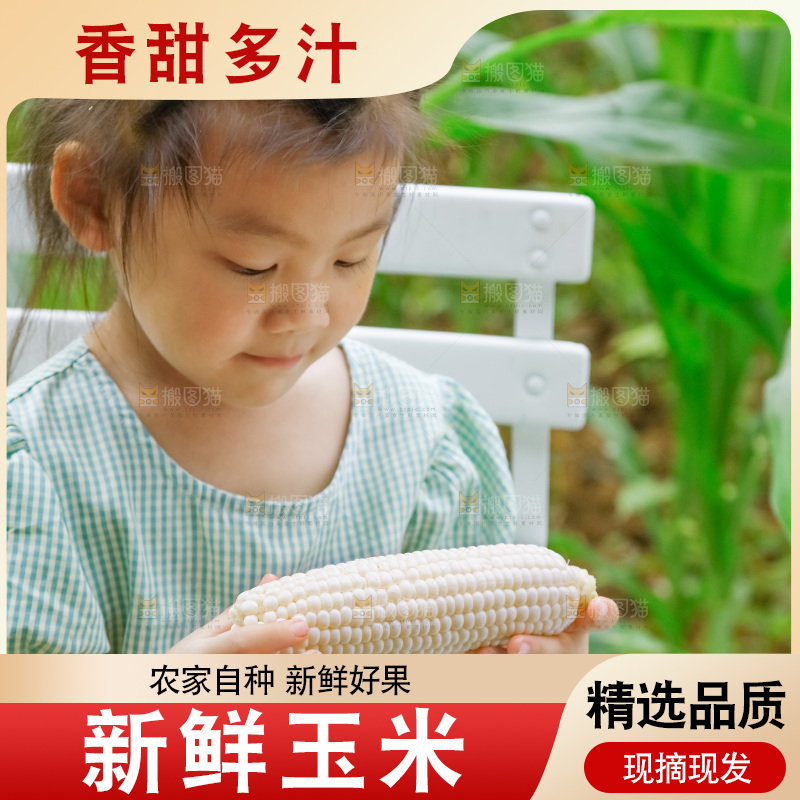 小女孩正在吃牛奶水果玉米