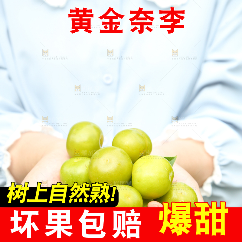 手里捧着黄金奈李