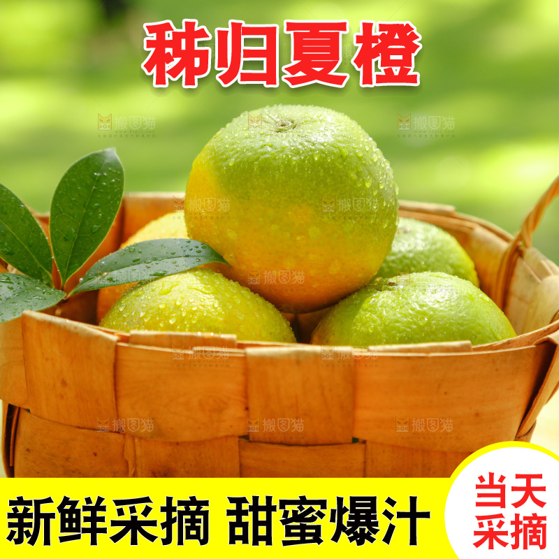 篮子里装着夏橙