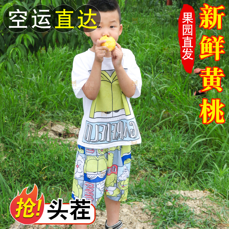 小男孩正在吃黄桃