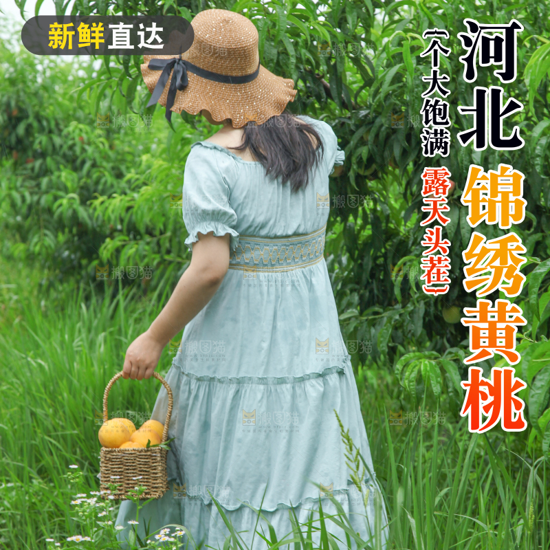 女孩手里提着一篮采摘的黄桃
