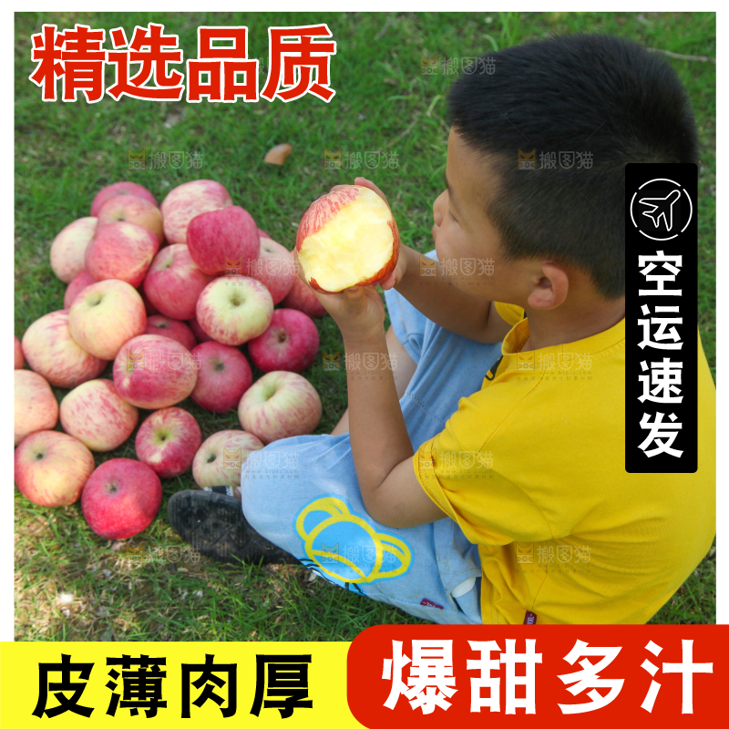小男孩正在吃苹果