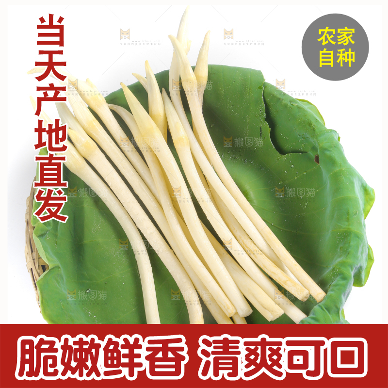 荷叶上放着新鲜藕带