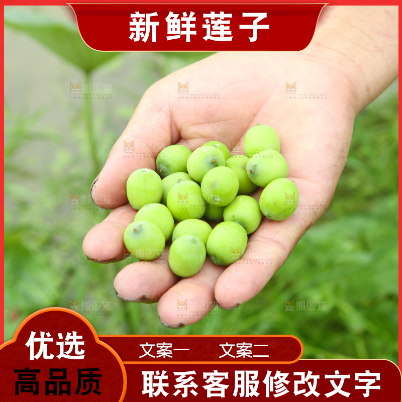 手里拿着莲子