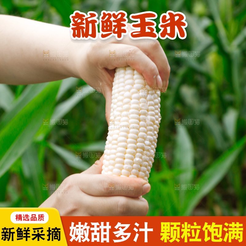 手里拿着甜玉米