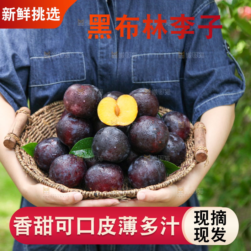手里端着一篮新鲜黑布李