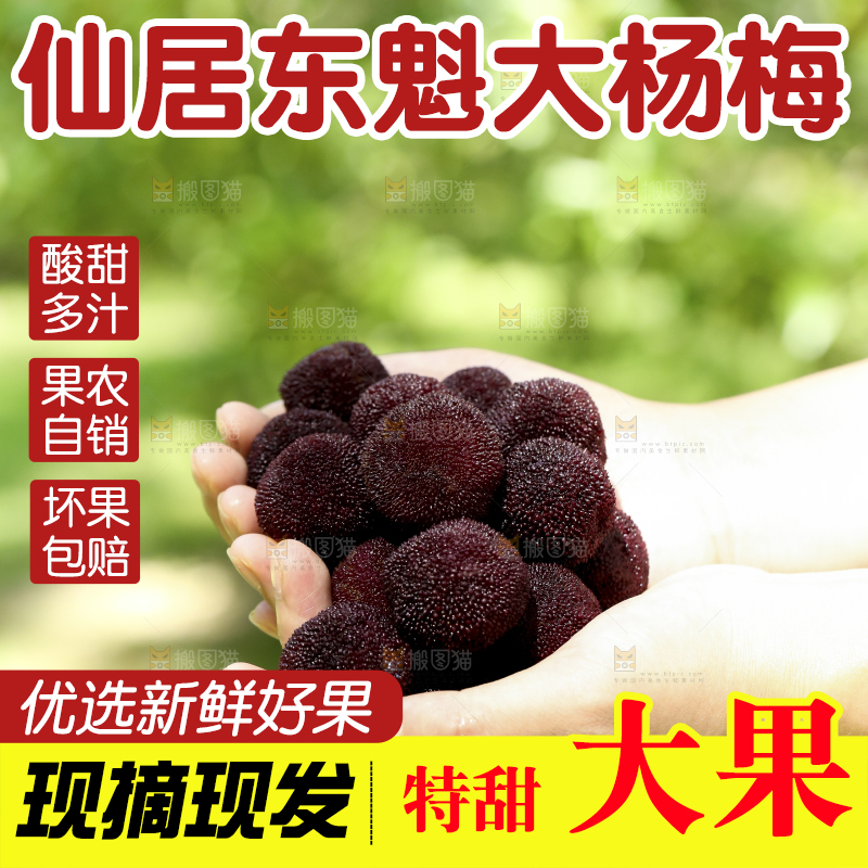 手里捧着新鲜杨梅