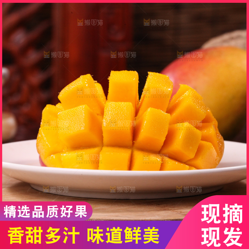 盘子里装着爱文芒
