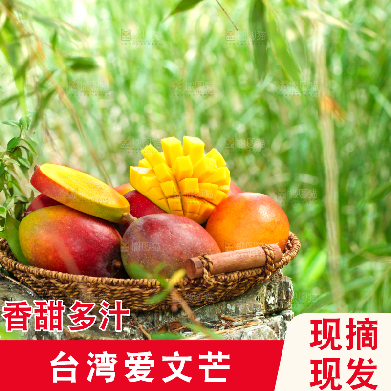 篮子里装着爱文芒