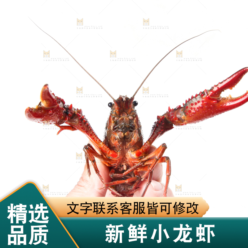 手里拿着鲜活小龙虾