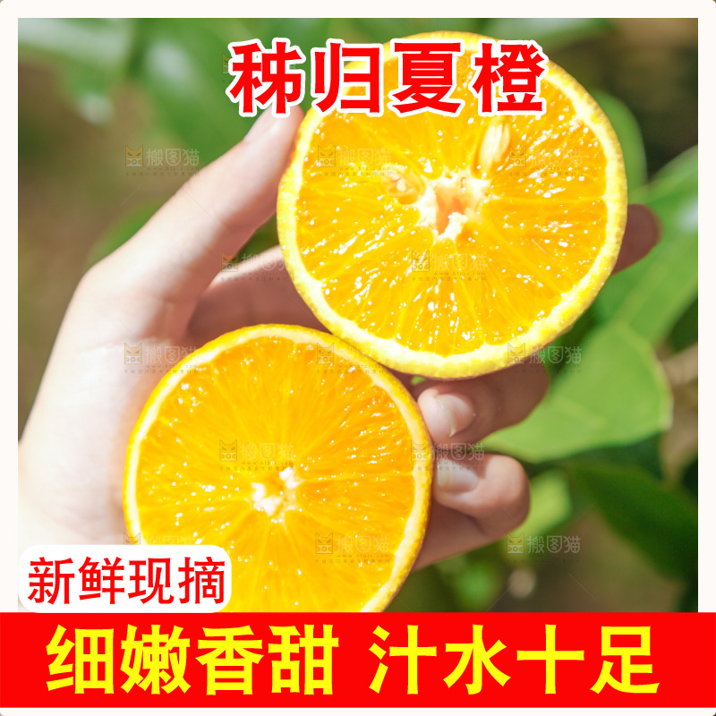 手里拿着新鲜夏橙