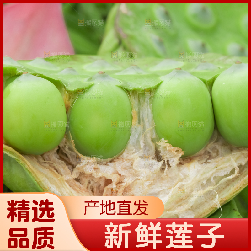 剥开的莲蓬子