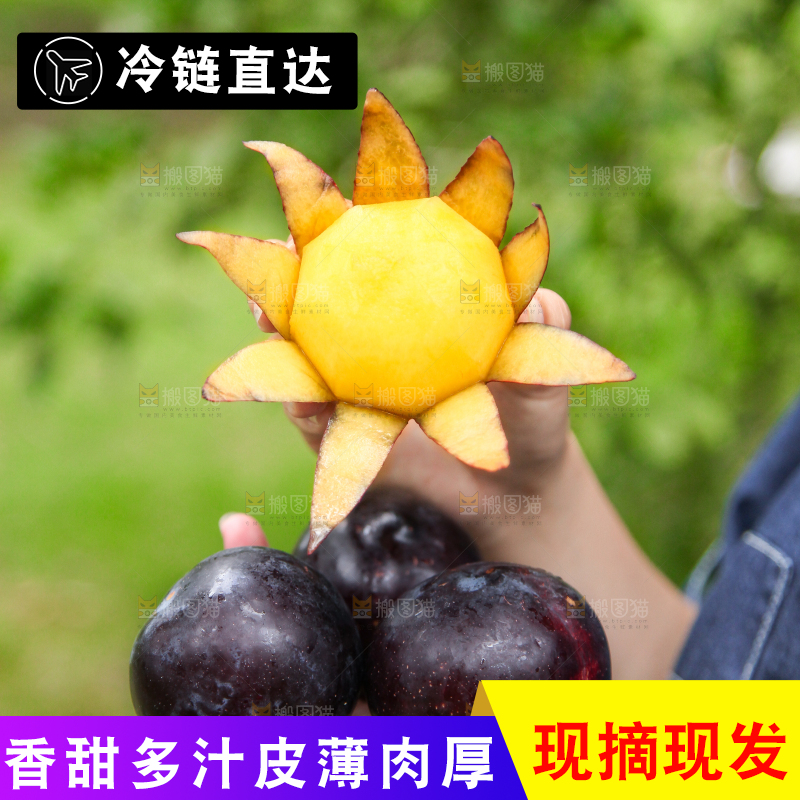 手里拿着黑布李