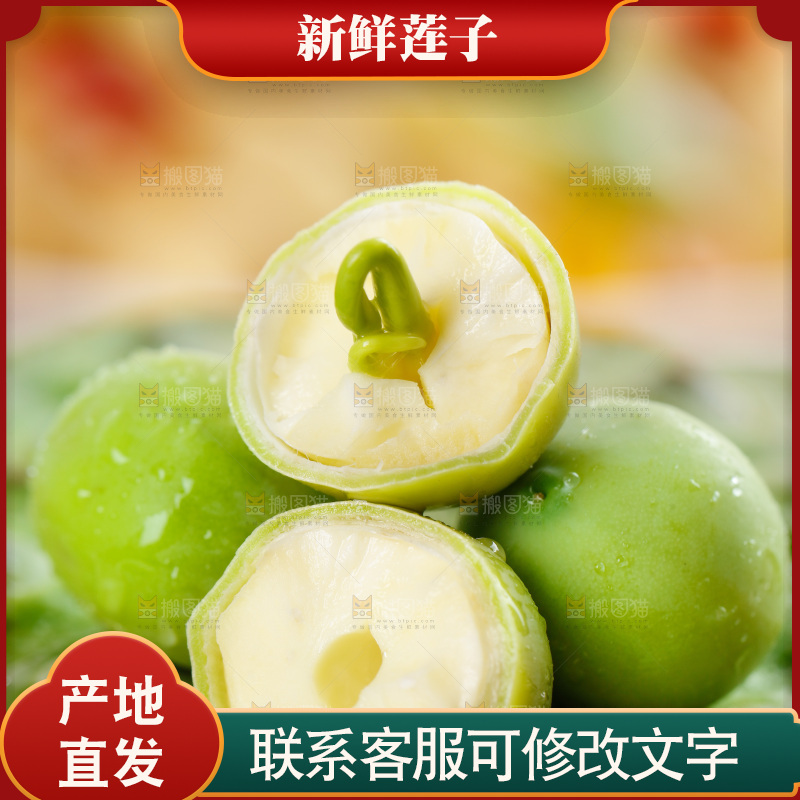 摆放着的新鲜莲子