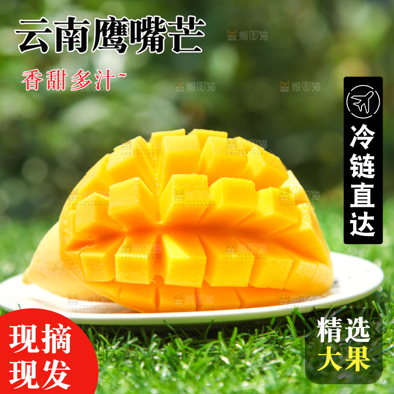 绿草地上摆放着鹰嘴芒果