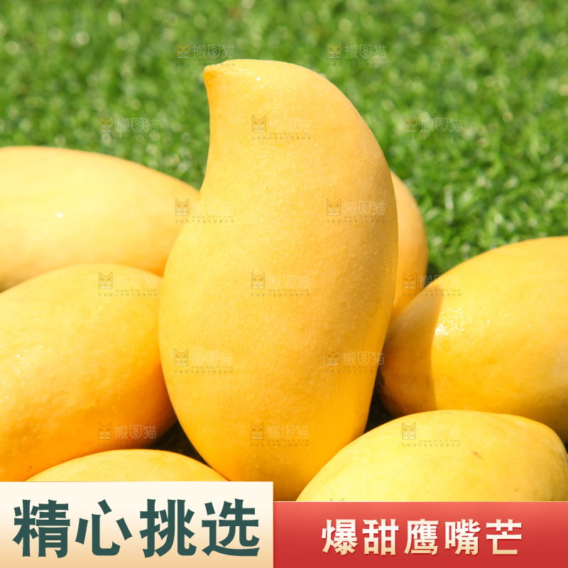 绿草地上摆放着鹰嘴芒果