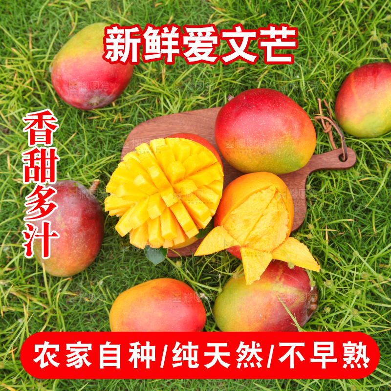 绿草地上摆放着苹果芒