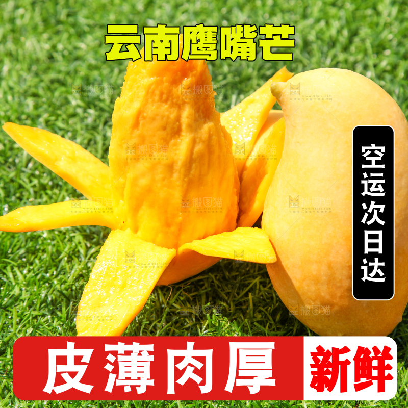 绿草地上摆放着鹰嘴芒果