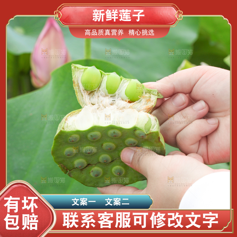 手里拿着莲蓬子