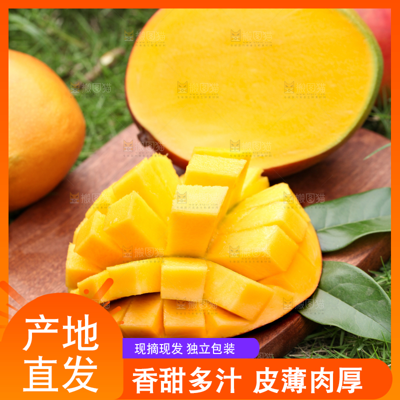 木板上放着爱文芒