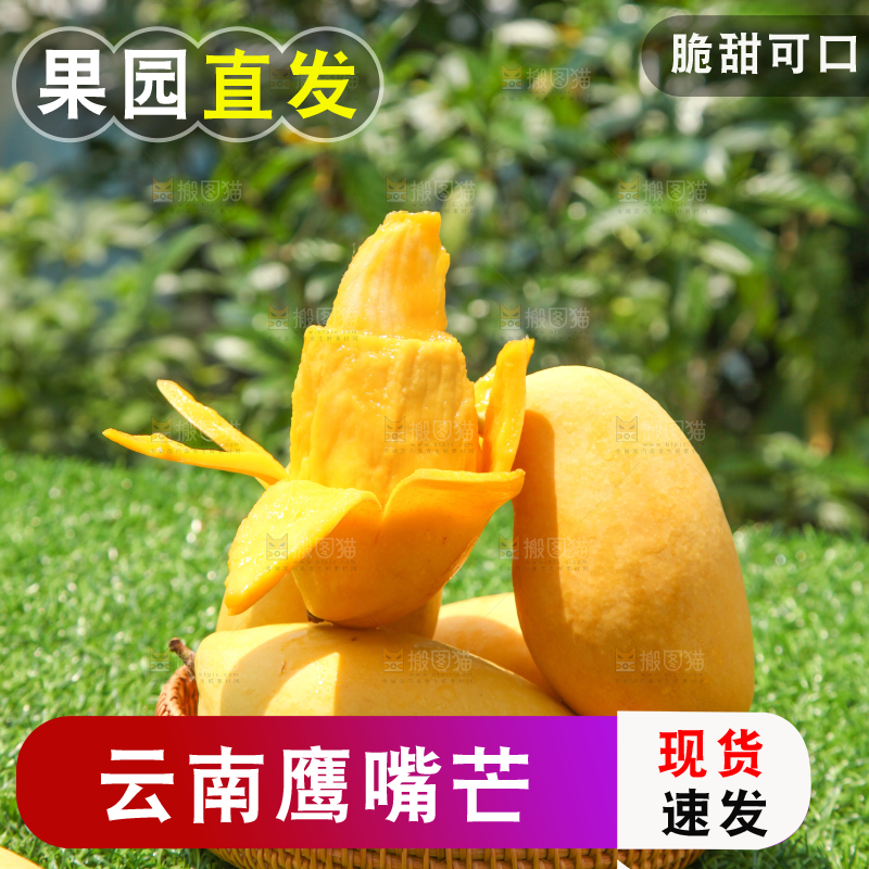 绿草地上摆放着鹰嘴芒果