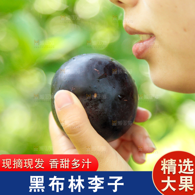 手里拿着黑布李