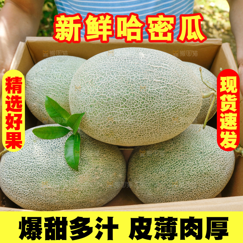 纸箱里装着网纹瓜