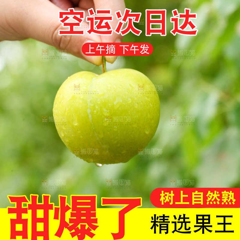 手里拿着蜂糖李子
