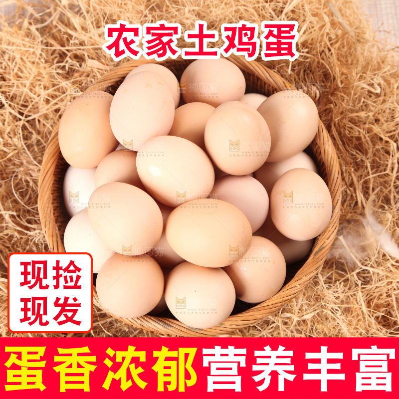 草堆上摆放着散养土鸡蛋