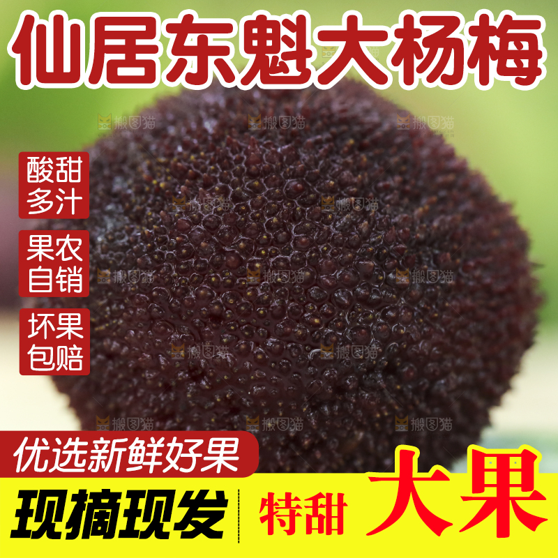 木底上摆放着圣生梅