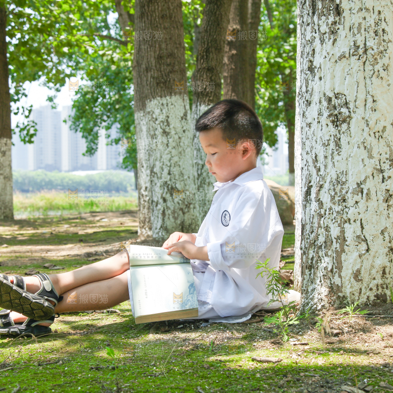 小男孩正在看书