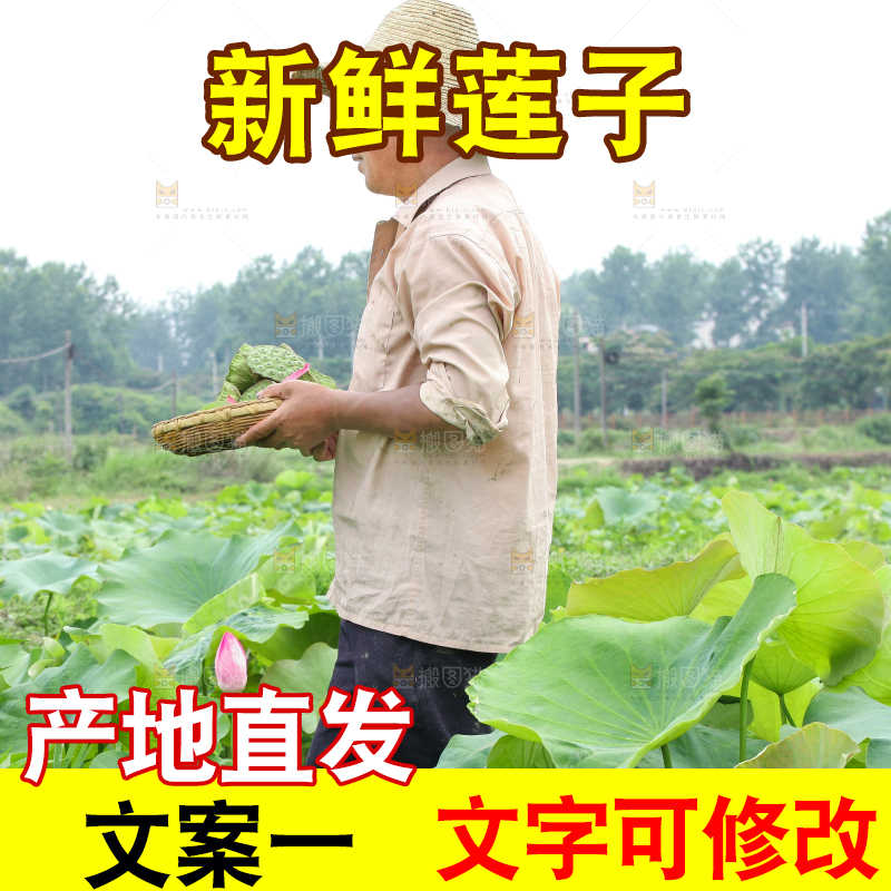 手里端着一篮新鲜莲蓬子