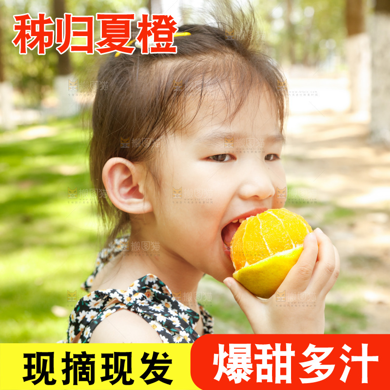 小女孩正在吃橙子