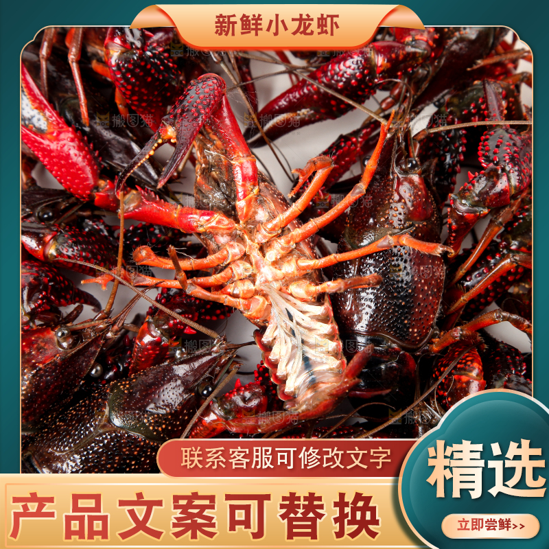 摆放着一堆的鲜活龙虾
