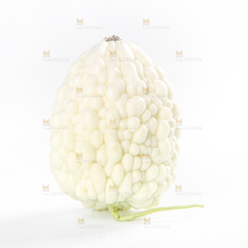白底上摆放着白玉苦瓜