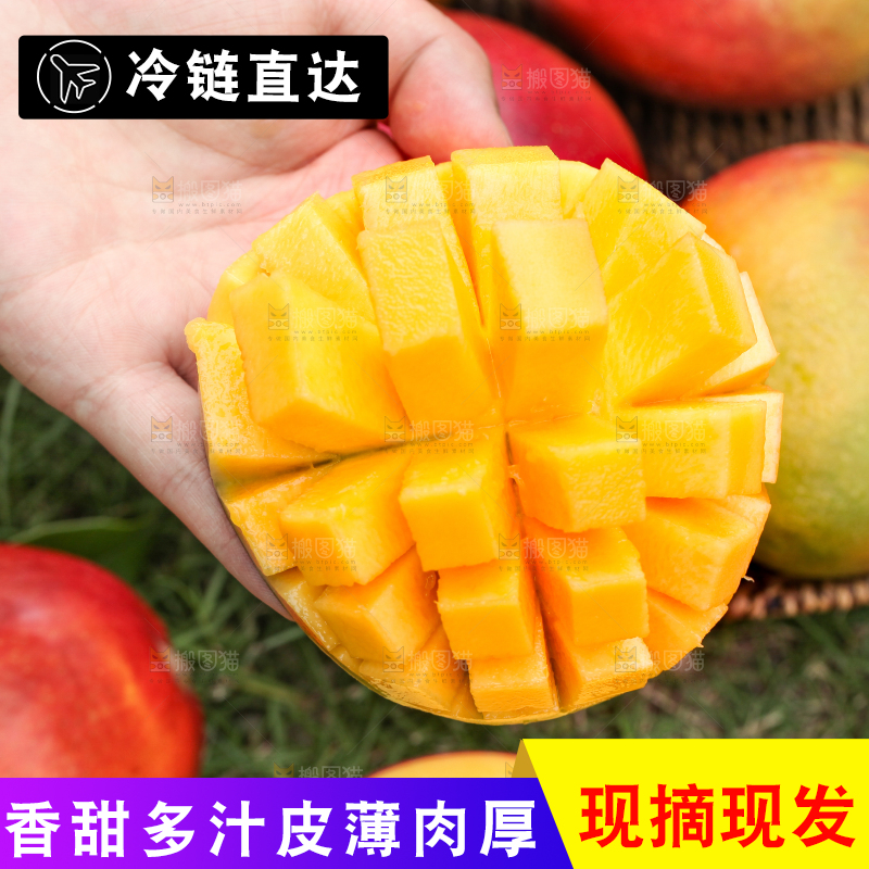 手里拿着切开的爱文芒
