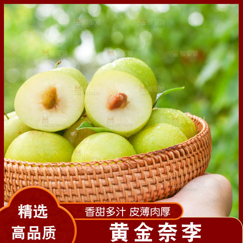手里端着一篮黄金李