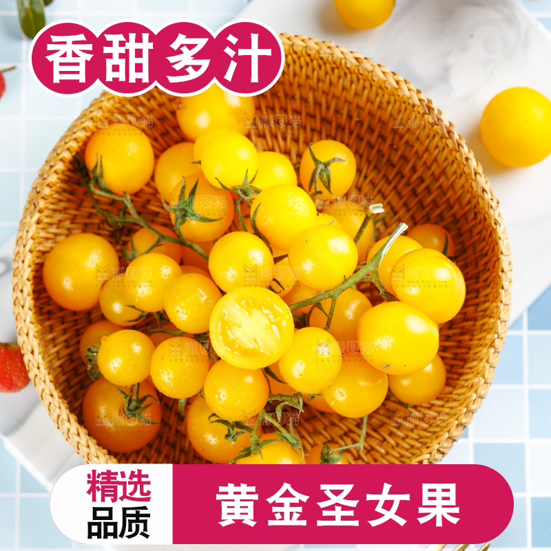 篮子里装着黄金圣女果